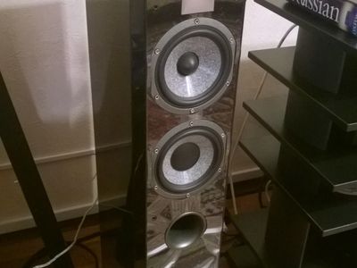 focal chorus 816w