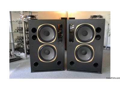 tannoy fsm